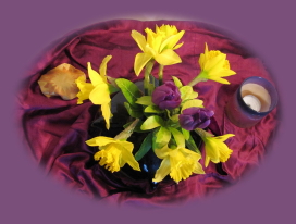 daffs_purple